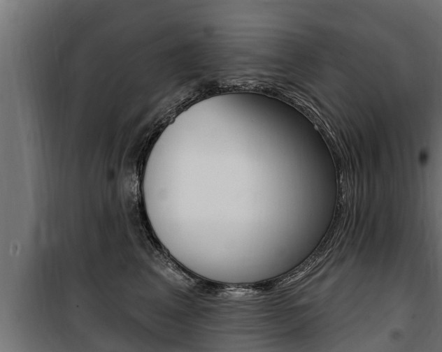 X0000100780617200806191018