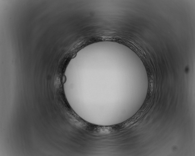 X0000100780618200806191018