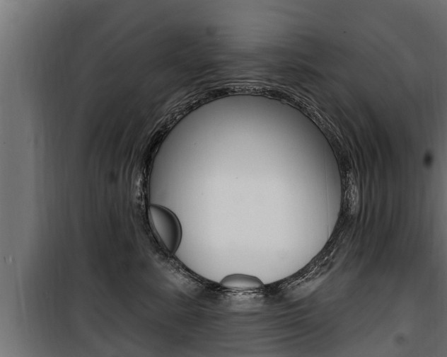 X0000100780619200806191018