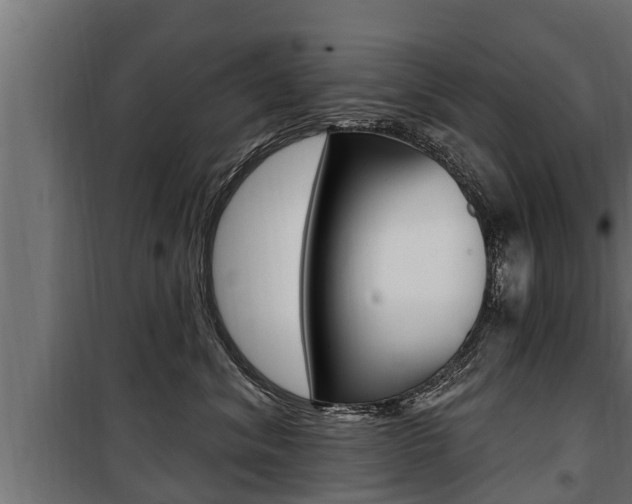 X0000100780620200806191018