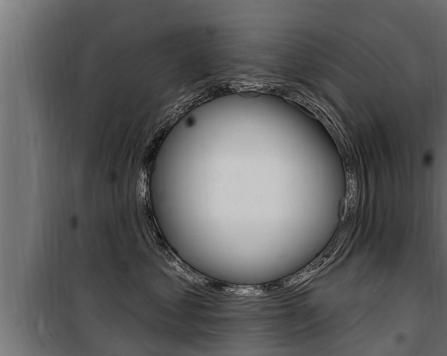 X0000100780621200806191018