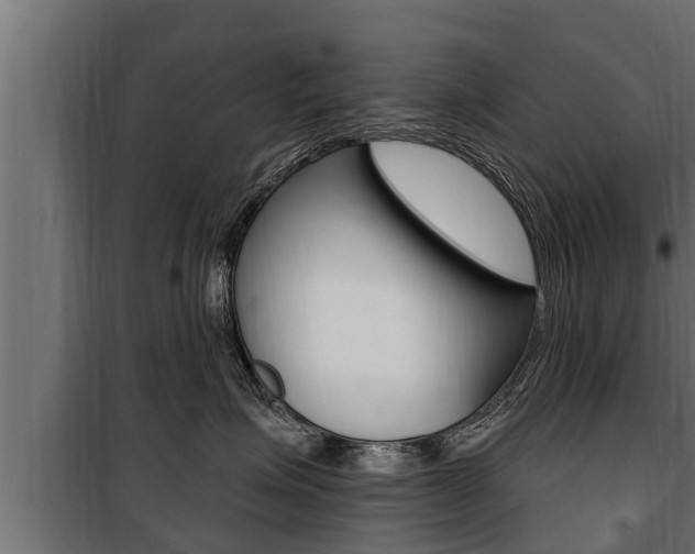 X0000100780623200806191018