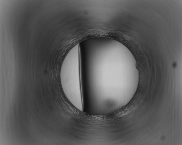 X0000100780624200806191018