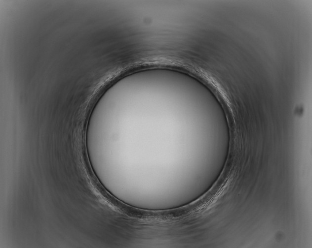 X0000100780625200806191017