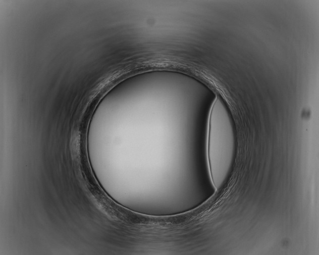 X0000100780626200806191017