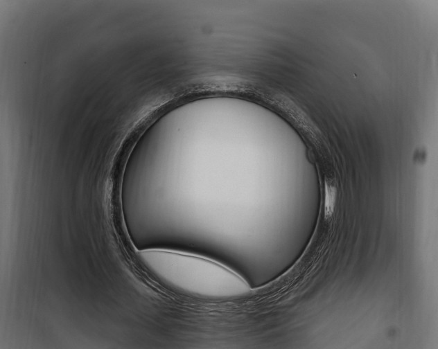 X0000100780627200806191017