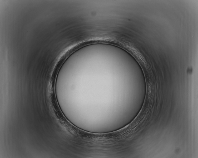 X0000100780628200806191017