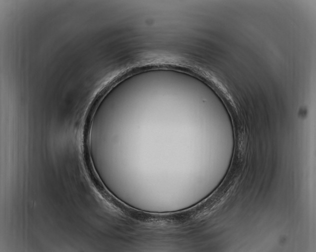 X0000100780629200806191017