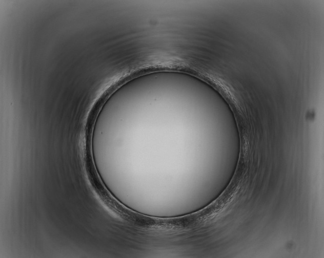 X0000100780630200806191017