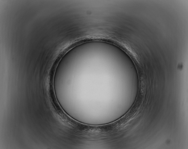 X0000100780631200806191017