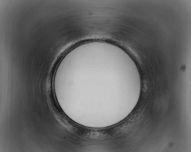 X0000100780632200806191017