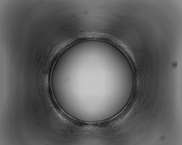 X0000100780633200806191017