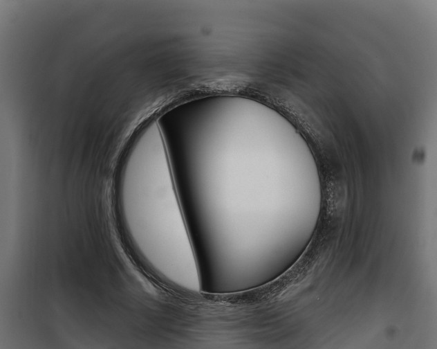 X0000100780634200806191017