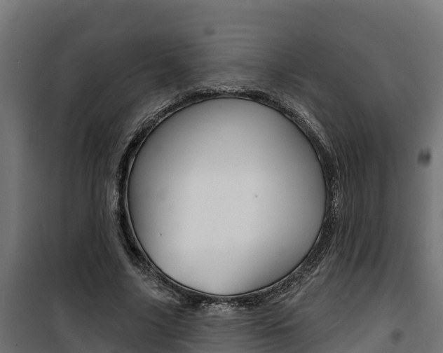 X0000100780635200806191017