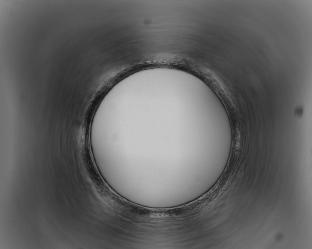 X0000100780636200806191017