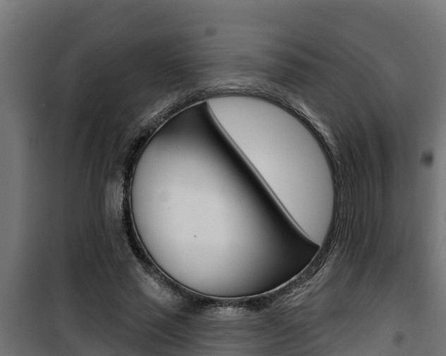 X0000100780637200806191017