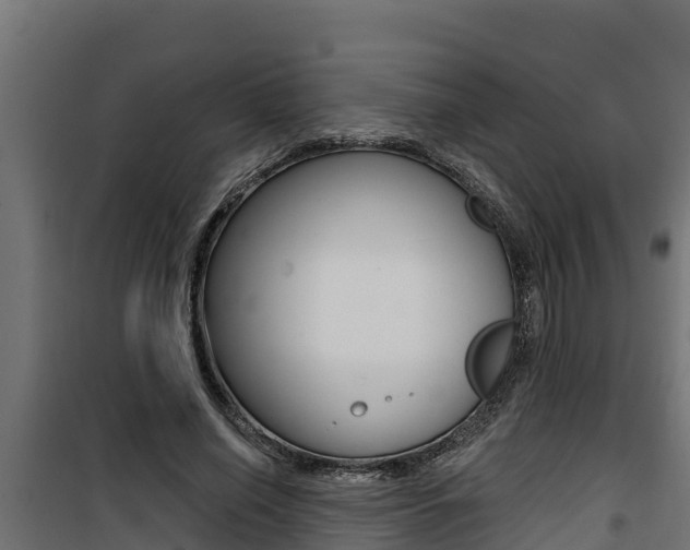 X0000100780638200806191017