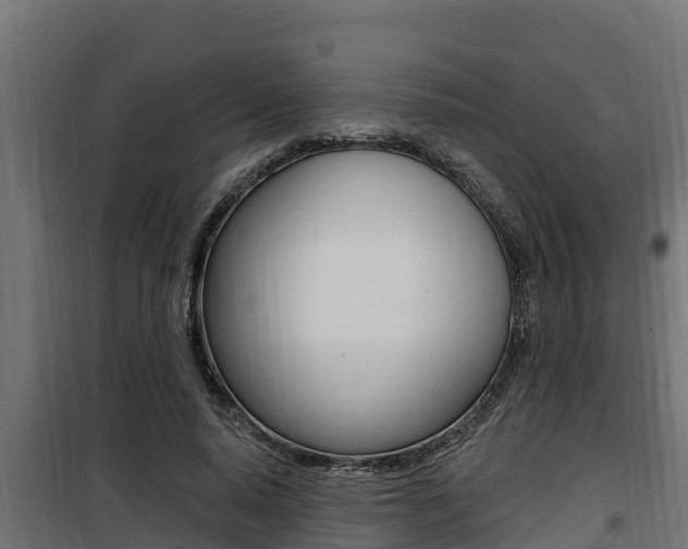 X0000100780640200806191017