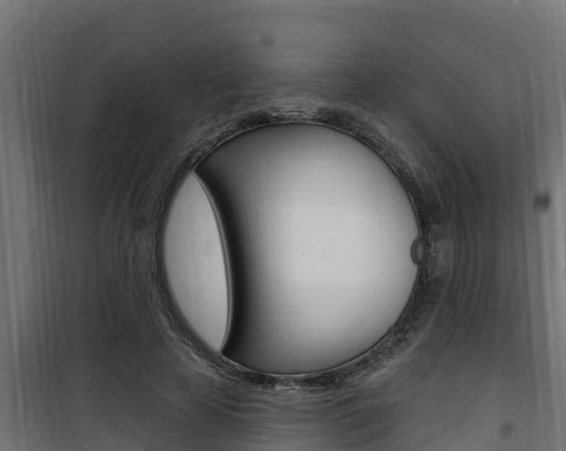 X0000100780641200806191017