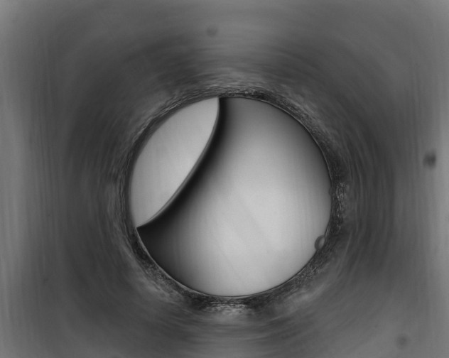 X0000100780642200806191017