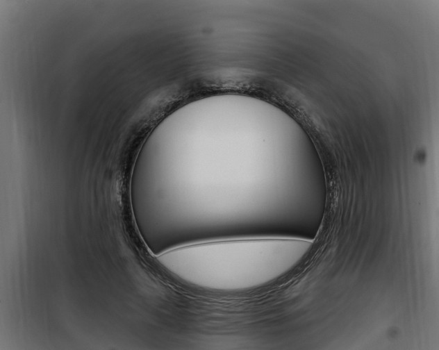 X0000100780643200806191018