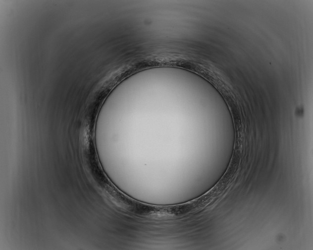 X0000100780644200806191018