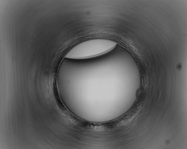 X0000100780645200806191018