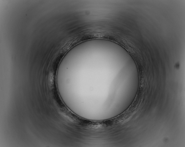 X0000100780646200806191018