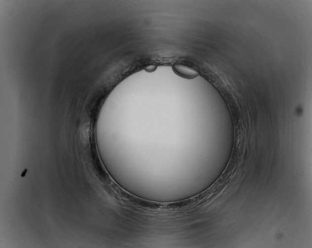 X0000100780647200806191018