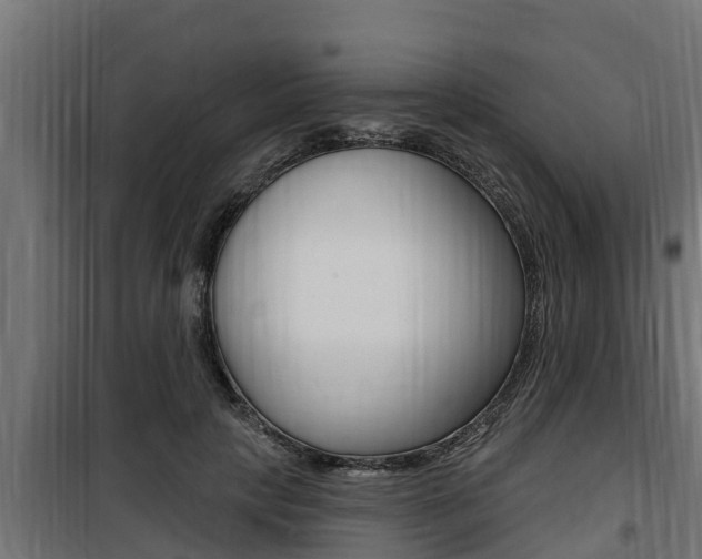 X0000100780649200806191018