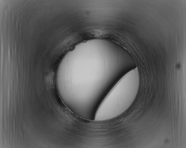 X0000100780650200806191018