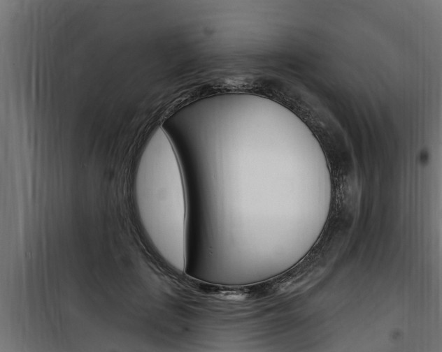 X0000100780651200806191018