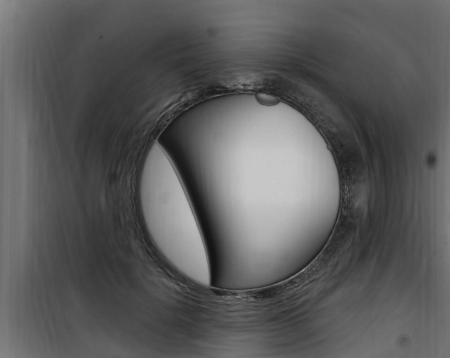 X0000100780652200806191018