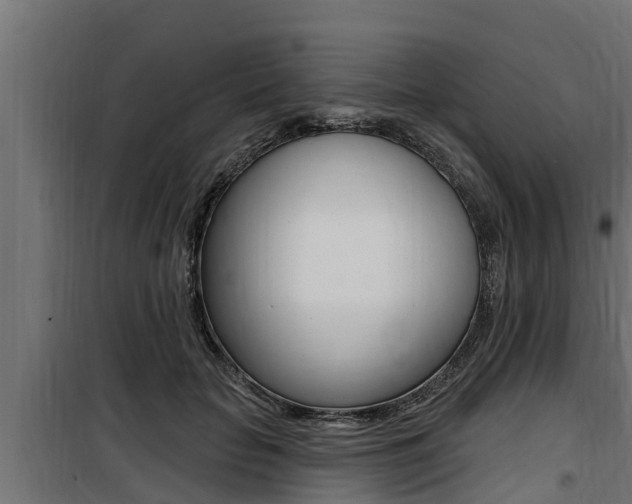 X0000100780653200806191018