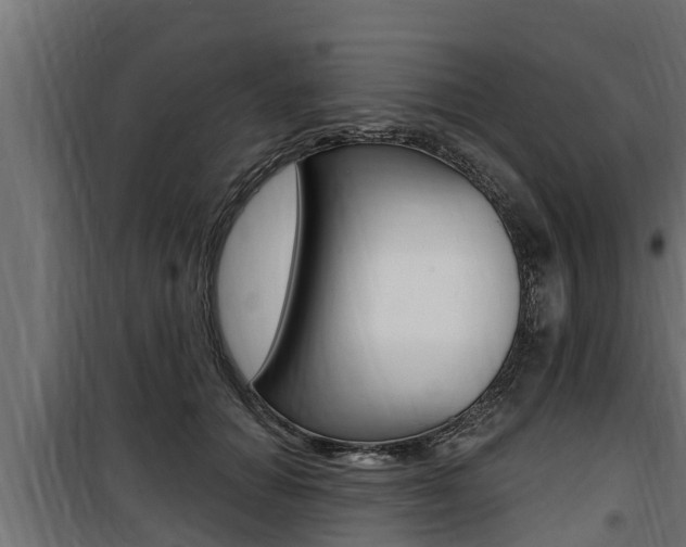 X0000100780654200806191018