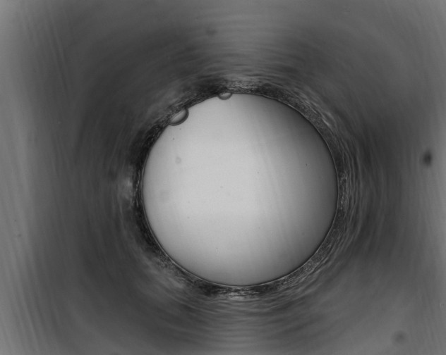 X0000100780655200806191018