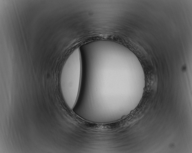 X0000100780656200806191018