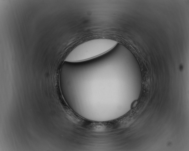 X0000100780658200806191018