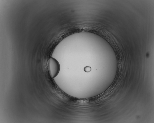 X0000100780660200806191018