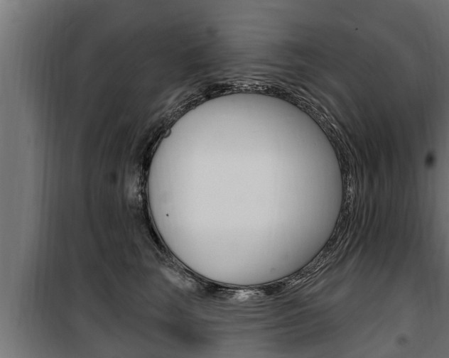 X0000100780663200806191018