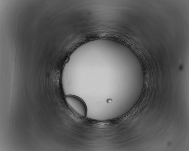 X0000100780664200806191018