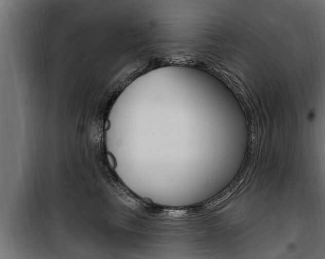 X0000100780665200806191018