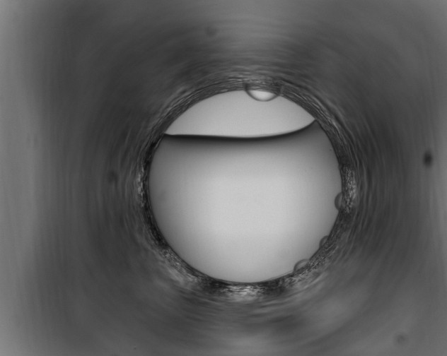 X0000100780667200806191018