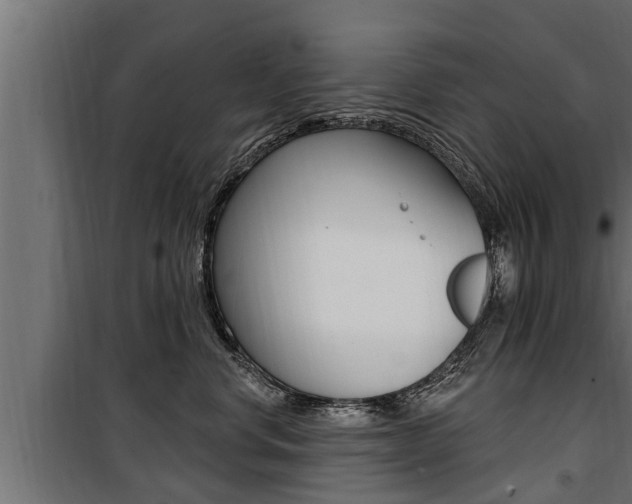 X0000100780668200806191018