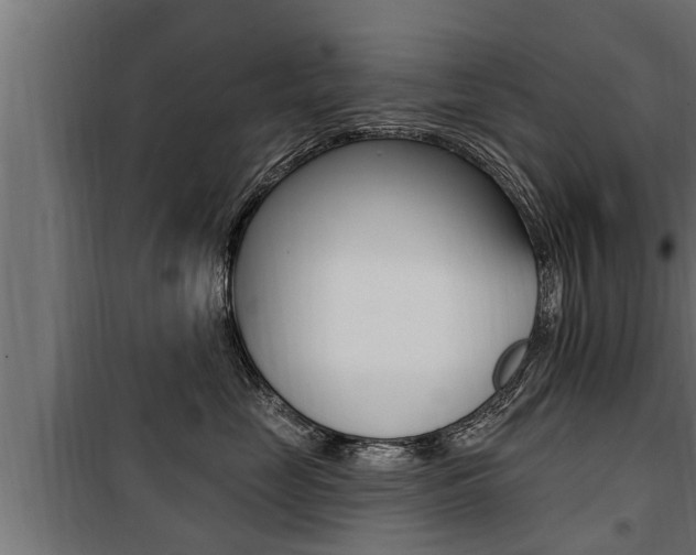 X0000100780669200806191018