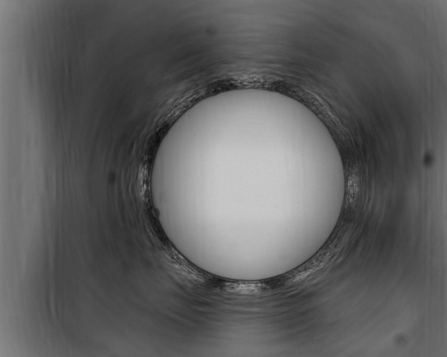 X0000100780671200806191018