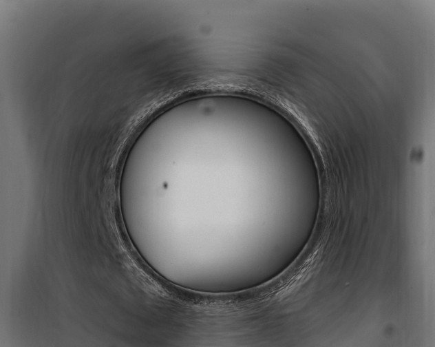 X0000100780673200806191017