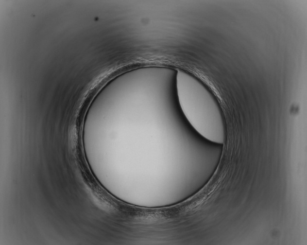 X0000100780674200806191017