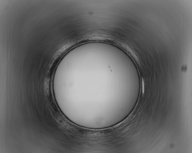 X0000100780675200806191017