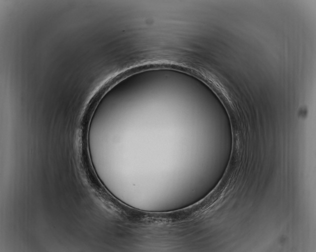 X0000100780676200806191017